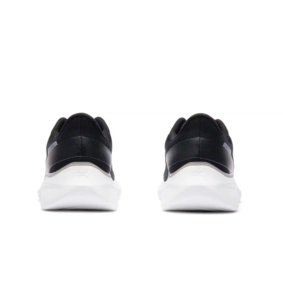 DASH Vanta WIDE